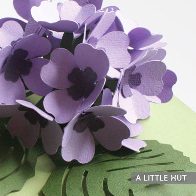 Hydrangea gift box