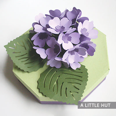 Hydrangea gift box
